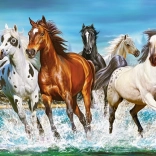 Puzzle 2000 pièces Call of Nature