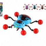 Araignée Rampe le long du Verre