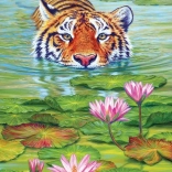 Puzzle Cobble Hill terre du lotus 1000 pièces