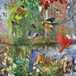 Puzzle Cobble Hill oiseaux au fil des saisons 1000 pièces