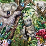 Puzzle Famille de Koalas 500 pièces