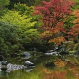 Puzzle 1000 pièces – Reflet Zen panorama