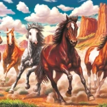 Puzzle Chevaux sauvages dans la vallée 1000 pièces