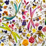 Puzzle Fées et Libellules 1000 pièces