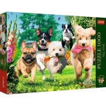 Trefl Puzzle Premium Plus Tea Time : Farces de chiens au jardin 1000 pièces