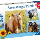 Ravensburger puzzle chevaux adorables 3×49 pièces