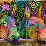 Puzzle 1000 pièces – ânes amoureux (Jelly Pets) – Heye