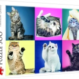 Puzzle 500 pièces Chatons Trefl