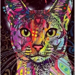 Puzzle 2000 pièces Chat Abyssin