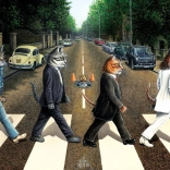 Puzzle Tabby Road 1000 pièces