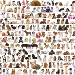 Puzzle Eurographics Monde des chiens 1000 pièces