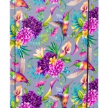 Chemise pour cahiers A4 Colibri BAAGL