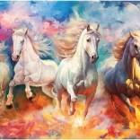 Puzzle Anatolian Svoboda - 1000 pièces