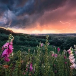 Puzzle 1000 pièces La tempête approche RAVENSBURGER