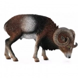 Mouflon européen