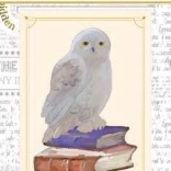 Marque-page magnétique Harry Potter Hedwige