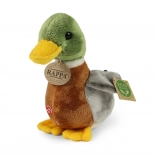 Canard colvert en peluche avec son 22 cm éco‑responsable