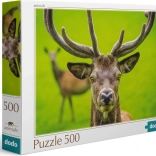 Puzzle DODO Cerf 500 pièces