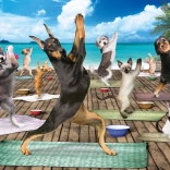 Puzzle Yoga au spa XL 500 pièces