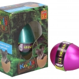 Oeuf de Koala Qui Grandit 6,5 cm