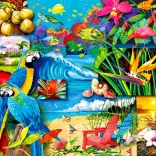 Profitez du Puzzle Trésors Tropicaux 1000 pièces