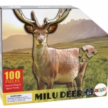 Puzzle 100 pièces avec motif de cerf dans la forêt