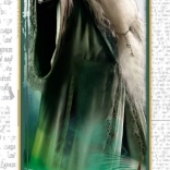 Puzzle Harry Potter Dumbledore 300 pièces