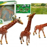 Figurines éducatives Girafes Famille 3 pcs + Décor Afrique