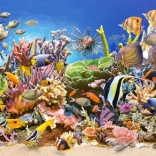 puzzle vie sous-marine 4000 pièces CASTORLAND