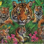 Puzzle Educa Tigres dans la jungle 500 pièces