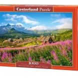 Puzzle 1000 pièces Hala Gąsienicowa, Tatras, Pologne