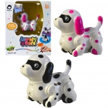 Le chien roulant sur une ligne peinte