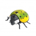 Coccinelle électronique rampante avec capteur de mouvement