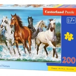 Puzzle 200 pièces Call of Nature