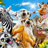 Puzzle 200 pièces African Selfie