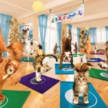 Puzzle EUROGRAPHICS Studio de yoga XL 300 pièces