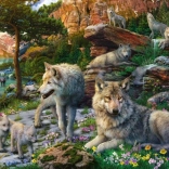 Ravensburger Loups de printemps puzzle 1500 pièces