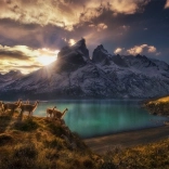 Puzzle Chili Lamy Guanaco 1000 pièces