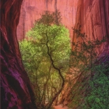 Puzzle 1000 pièces – canyon