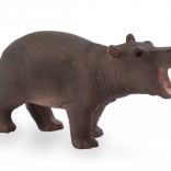Mojo bébé hippopotame
