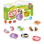 Alexander découverte pour les tout-petits – plaquettes moitiés