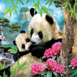 Educa puzzle panda avec son petit 1000 pièces