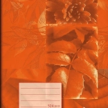 Cahier Notes A5 ligné en papier recyclé, orange, 20 feuilles