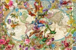 Puzzle Ravensburger Carte du monde – flore et faune 3000 pièces