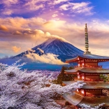 Puzzle Mont Fuji au printemps, Japon – 1000 pièces