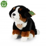 chien de montagne bernois en peluche 25 cm – RAPPA (éco‑responsable)