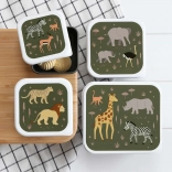 Savane