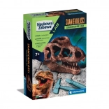 Kit scientifique crâne fossile de T‑Rex