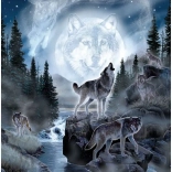 Puzzle Loup Lunaire 500 pièces