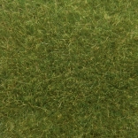 Noch herbe sauvage vert moyen 9 mm